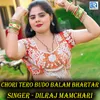 About Chori Tero Budo Balam Bhartar Song